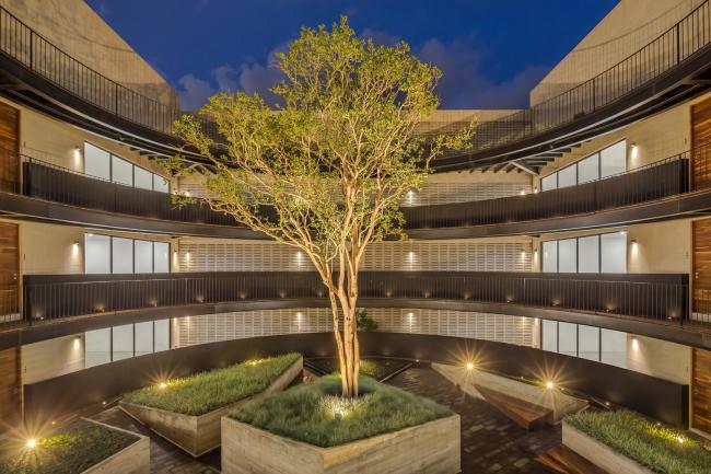 BIM建筑|MX581公寓／HGR Arquitectos