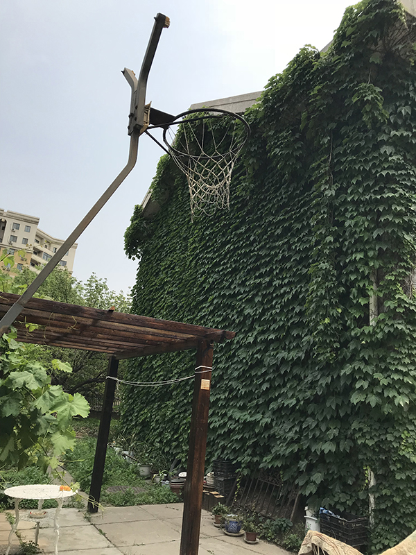 BIM建筑|城市里的城市，花圃里的花圃：10 palace l 元秀万建筑事务所