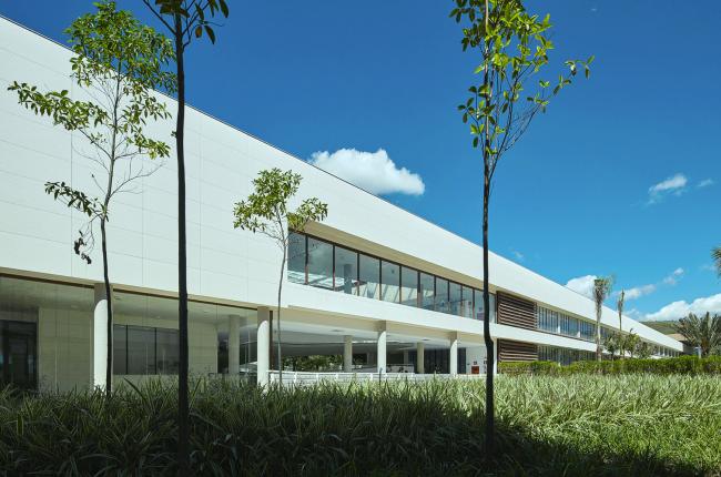 BIM建筑|优雅如天鹅展翅：巴西Roberto Herbster Gusmão黉舍