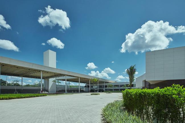 BIM建筑|优雅如天鹅展翅：巴西Roberto Herbster Gusmão黉舍