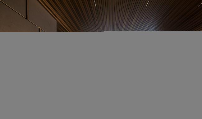 BIM建筑|厦门佳逸希尔顿格芮精选酒店 | 汤桦建筑设计