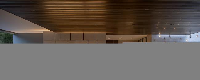 BIM建筑|厦门佳逸希尔顿格芮精选酒店 | 汤桦建筑设计