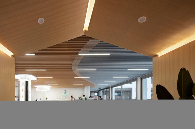 BIM建筑|视野之下，朴直有型：十堰A+天然幼儿园 l 迪卡幼儿园设计中间