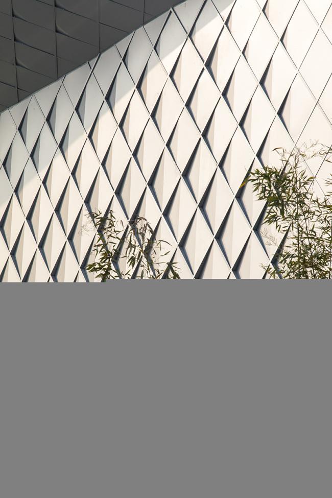 BIM建筑|山崖之巅,格构空间-重庆御临府艺术中间 / 成执设计