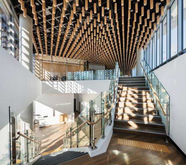 BIM建筑|光影斑驳，影随风动：韩国木材博物馆