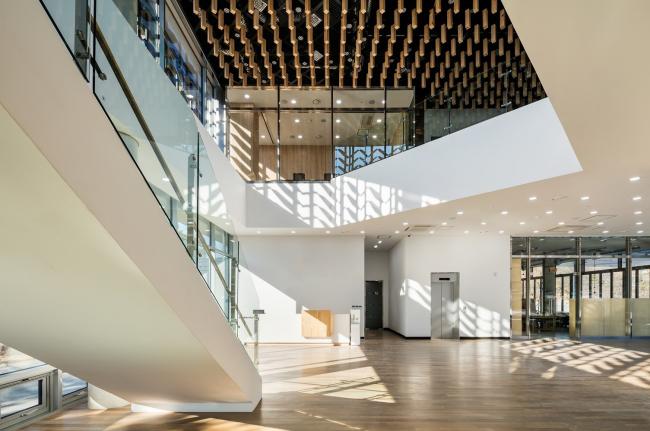 BIM建筑|光影斑驳，影随风动：韩国木材博物馆