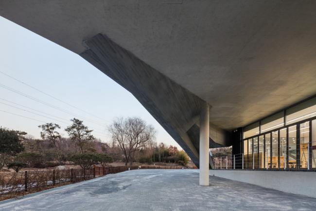 BIM建筑|光影斑驳，影随风动：韩国木材博物馆