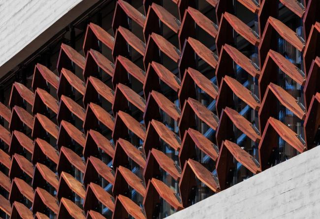 BIM建筑|光影斑驳，影随风动：韩国木材博物馆