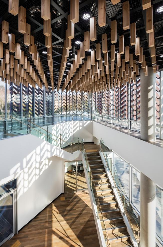 BIM建筑|光影斑驳，影随风动：韩国木材博物馆