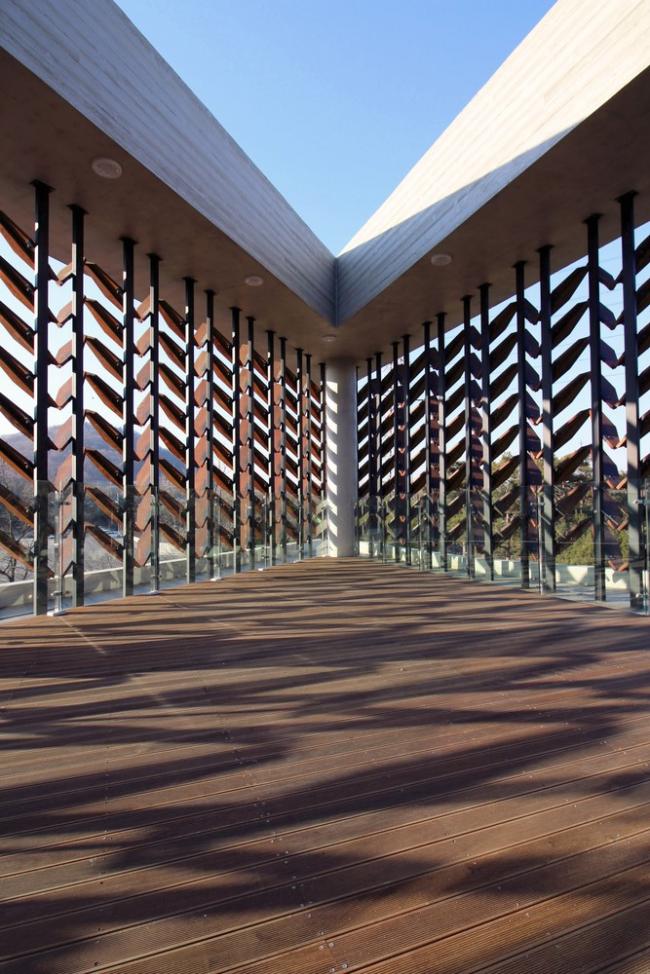 BIM建筑|光影斑驳，影随风动：韩国木材博物馆