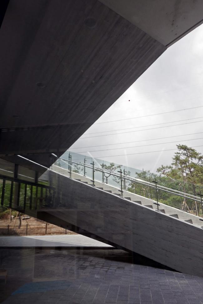 BIM建筑|光影斑驳，影随风动：韩国木材博物馆