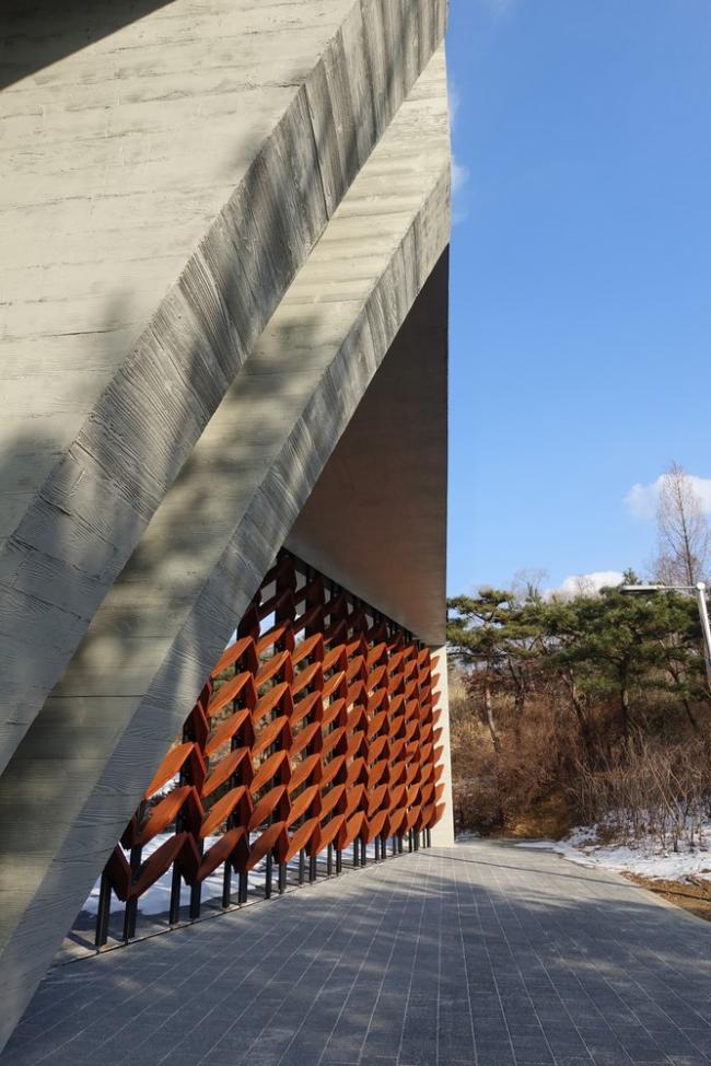 BIM建筑|光影斑驳，影随风动：韩国木材博物馆