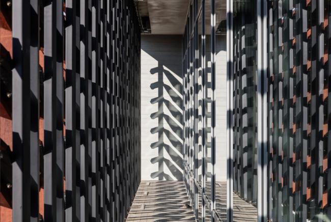 BIM建筑|光影斑驳，影随风动：韩国木材博物馆