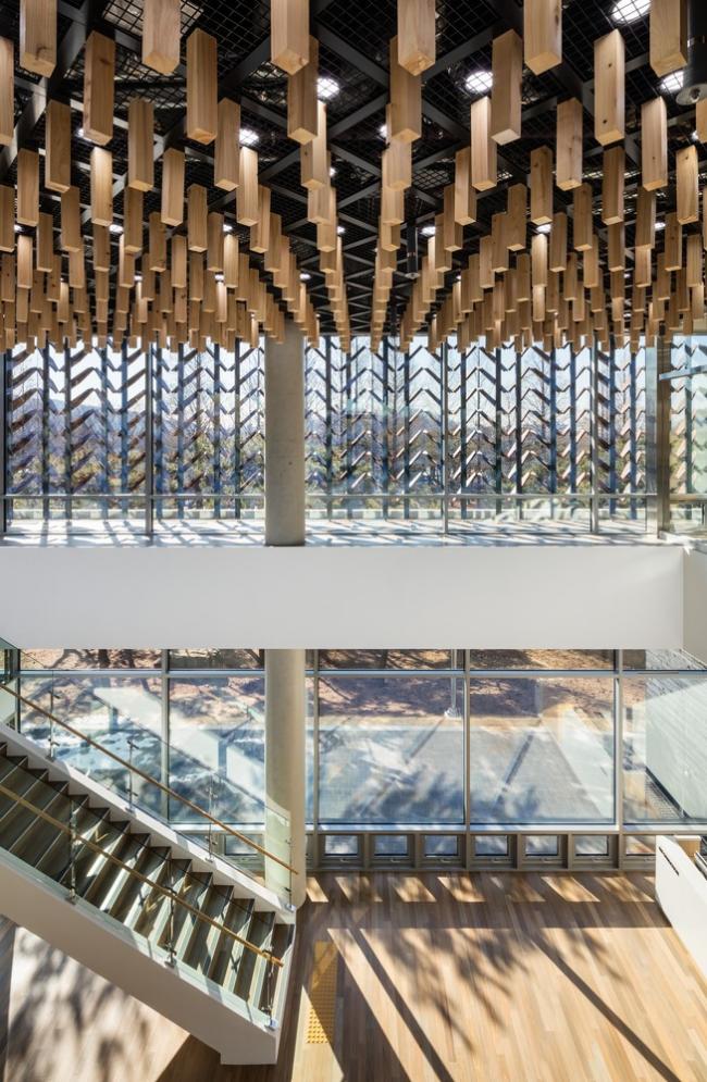 BIM建筑|光影斑驳，影随风动：韩国木材博物馆