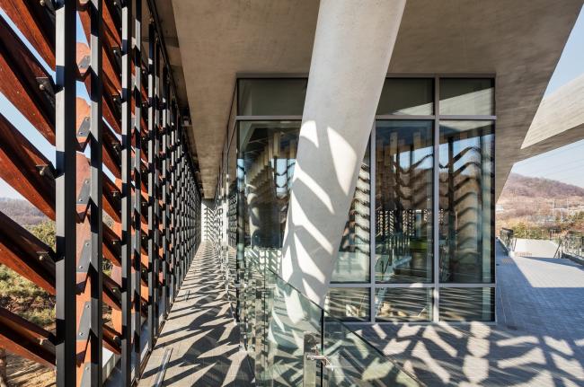 BIM建筑|光影斑驳，影随风动：韩国木材博物馆