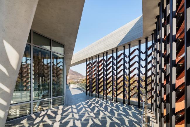 BIM建筑|光影斑驳，影随风动：韩国木材博物馆