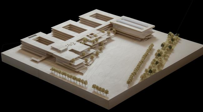 BIM建筑|垂直书院——姑苏科技城试验小学设计 / 年夜正+致正建筑事务所