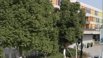 BIM建筑|垂直书院——姑苏科技城试验小学设计 / 年夜正+致正建筑事务所