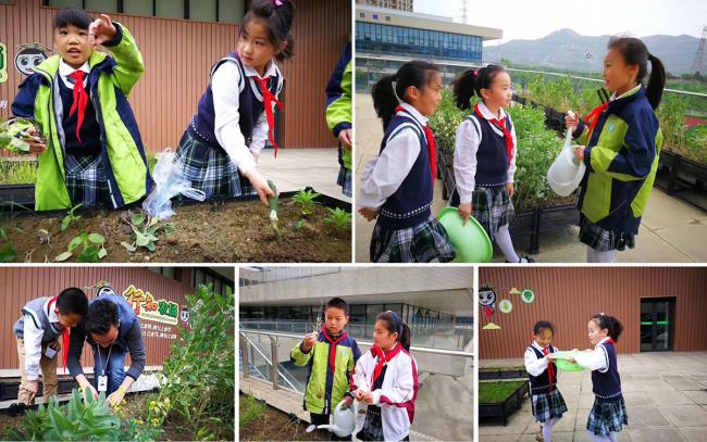 BIM建筑|垂直书院——姑苏科技城试验小学设计 / 年夜正+致正建筑事务所