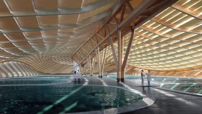 BIM建筑|Ennead 赢长江口中华鲟天然维护区国际比赛