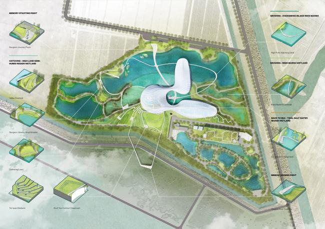 BIM建筑|Ennead 赢长江口中华鲟天然维护区国际比赛