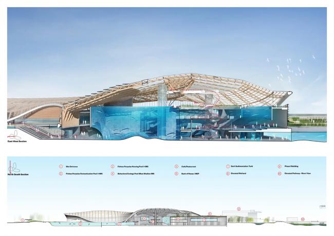BIM建筑|Ennead 赢长江口中华鲟天然维护区国际比赛