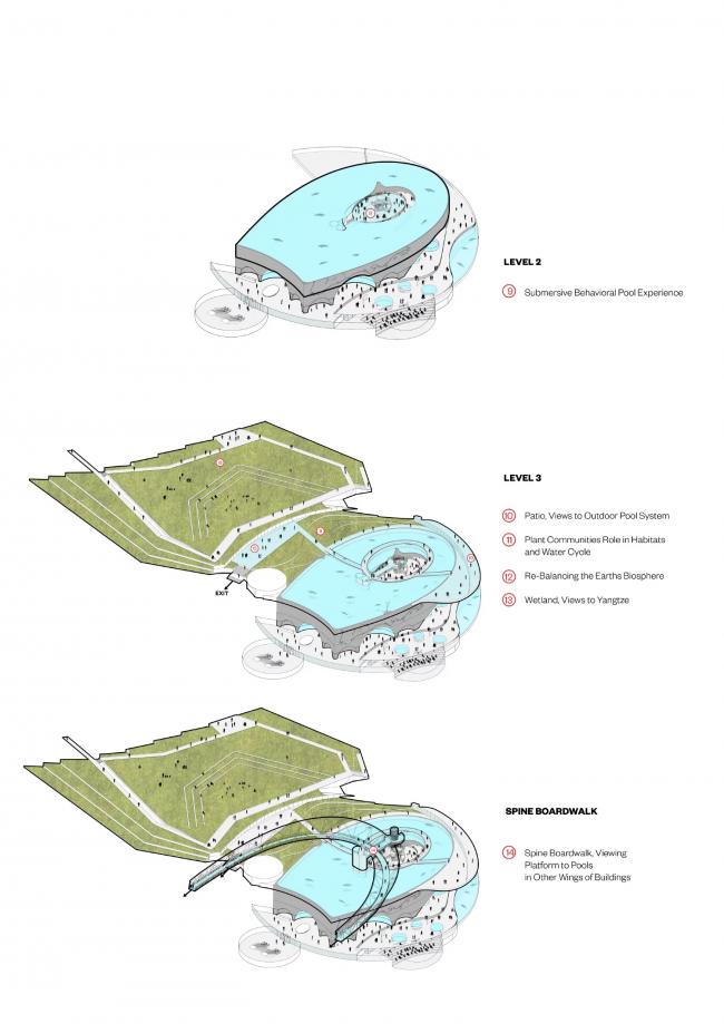 BIM建筑|Ennead 赢长江口中华鲟天然维护区国际比赛