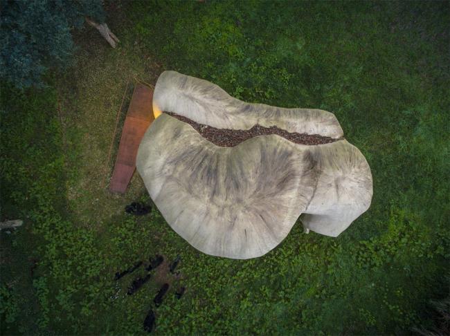 BIM建筑|葡萄牙MATO艺术展览空间 / FCC Arquitectura