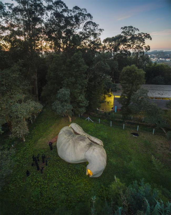 BIM建筑|葡萄牙MATO艺术展览空间 / FCC Arquitectura