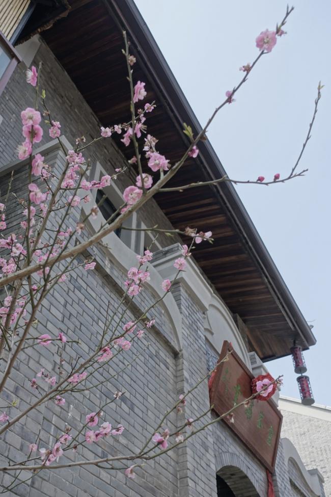 BIM建筑|朴素与光辉 | 浙江安吉灵峰课堂设计