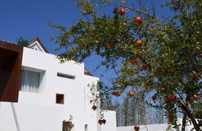 BIM建筑|上海最美平易近宿——时间的圆 l 元秀万建筑事务所（ams）