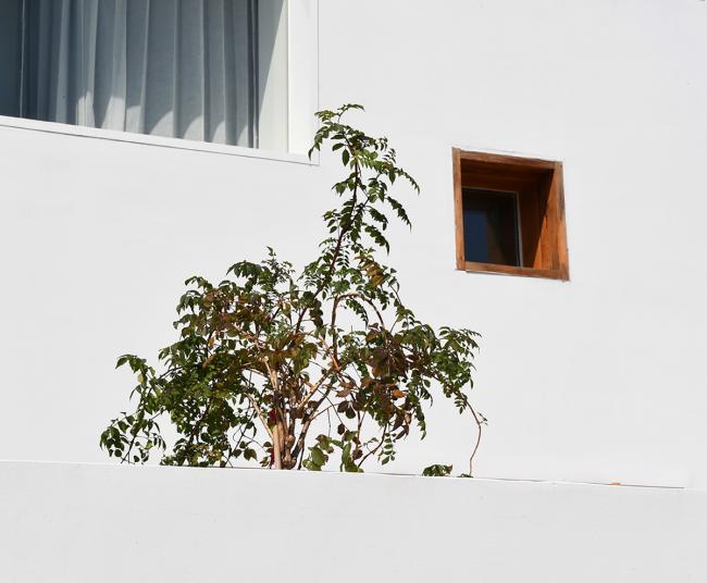 BIM建筑|上海最美平易近宿——时间的圆 l 元秀万建筑事务所（ams）