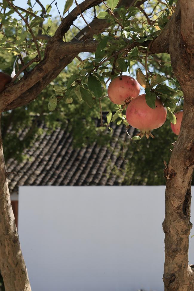 BIM建筑|上海最美平易近宿——时间的圆 l 元秀万建筑事务所（ams）