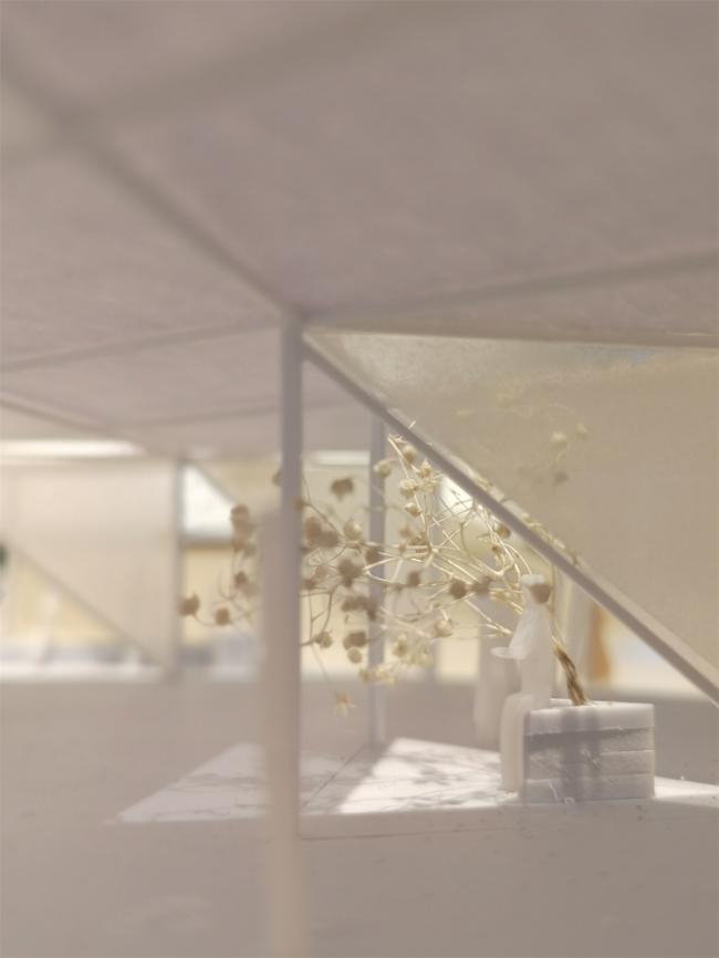 BIM建筑|2018引力场——城市三角洲 | goa年夜象设计