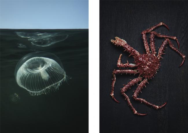 BIM建筑|水下餐厅“Under” | Snohetta