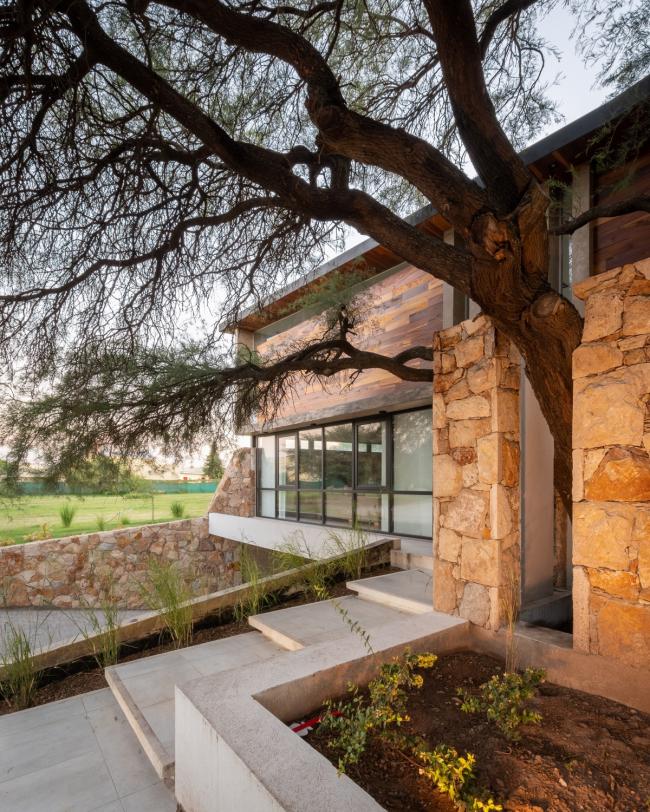 BIM建筑|Nagus室第