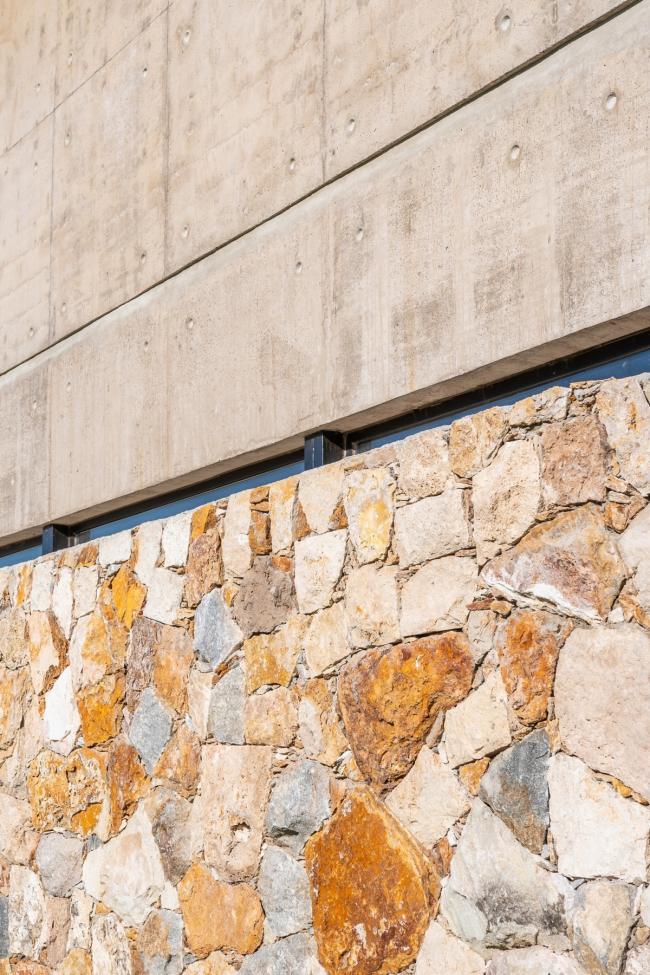 BIM建筑|Nagus室第