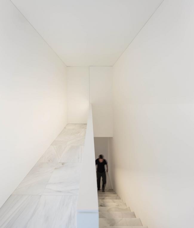 BIM建筑|在宏大的“T”形屋顶上远眺海面：霍夫曼之家