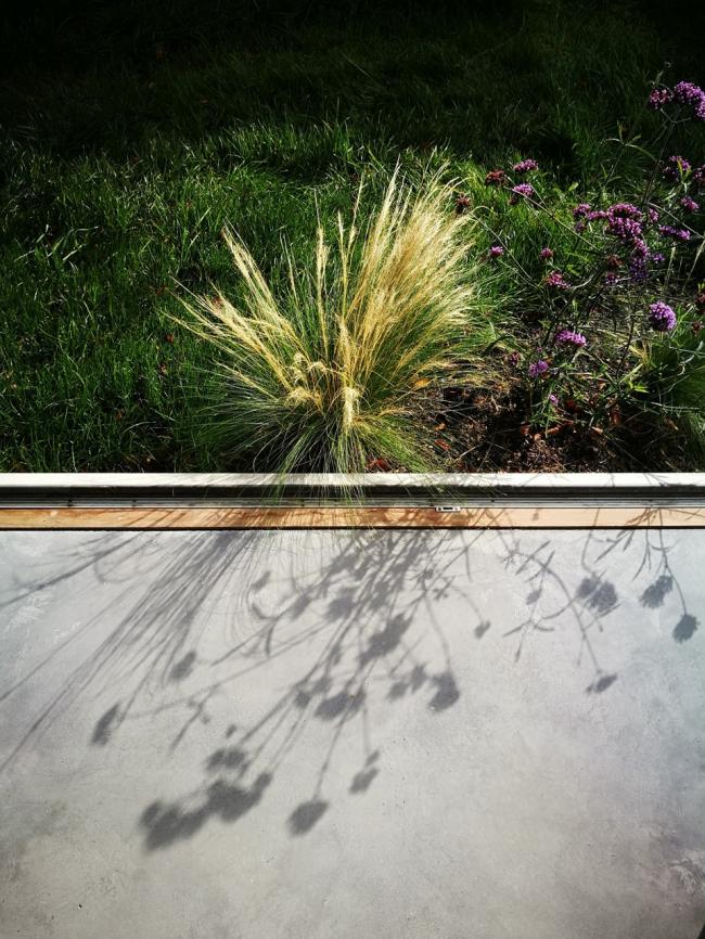 BIM建筑|花圃室第