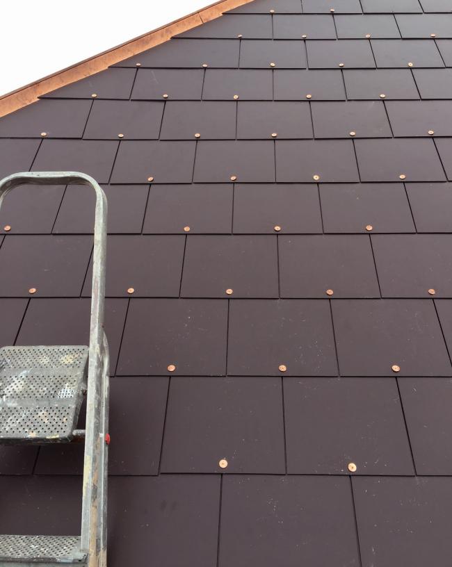 BIM建筑|花圃室第