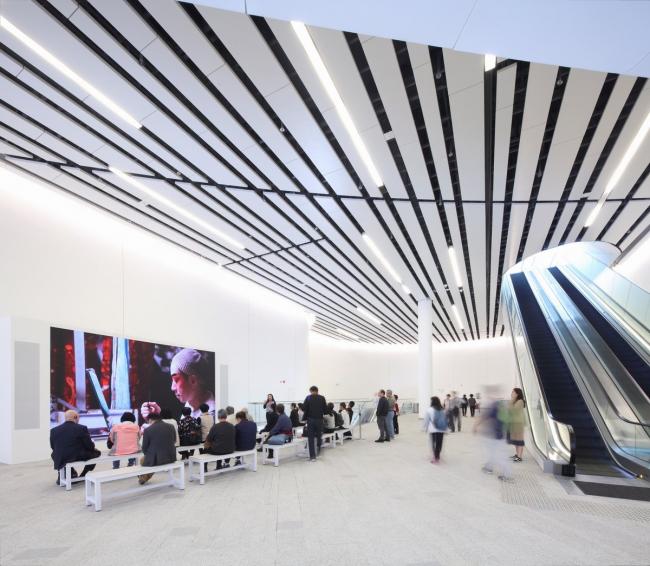 BIM建筑|喷鼻港戏曲中间 / Revery Architecture