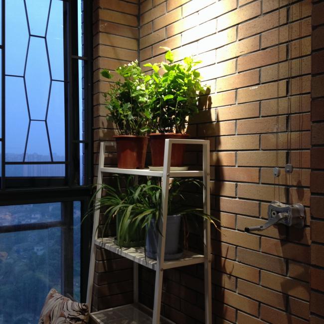 BIM建筑|芳华▪家 格子墙里的日常——建筑师自宅 / 金超，颜闾红