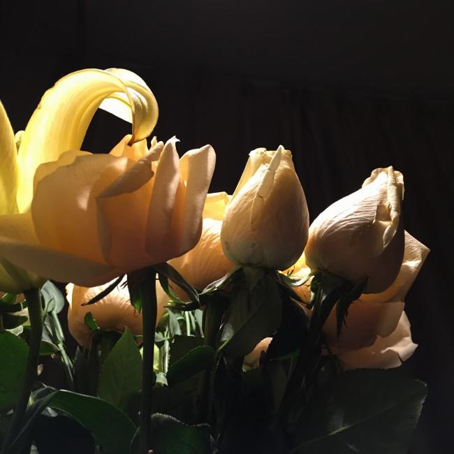 BIM建筑|芳华▪家 格子墙里的日常——建筑师自宅 / 金超，颜闾红