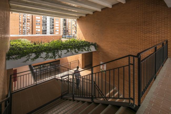 BIM建筑|天井中的黉舍，黉舍中的天井：哥伦比亚中小黉舍