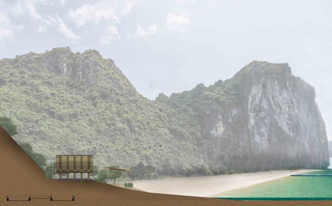 BIM建筑|远看阳光，沙岸与船主，越南兰哈湾竹度假酒店 / 武重义建筑事务所