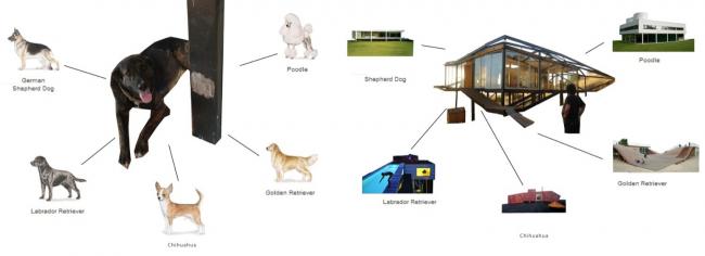 BIM建筑|如布谷鸟守看谷地——Kiltro山坡室第