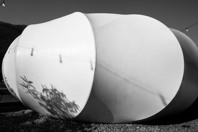 BIM建筑|不雅湖美景，四时咸宜：清平湖畔度假村及美术馆