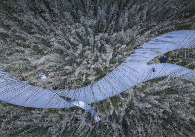 BIM建筑|水与石的江南光影——常州旭辉铂悦天宁生涯艺术馆 / 水石设计