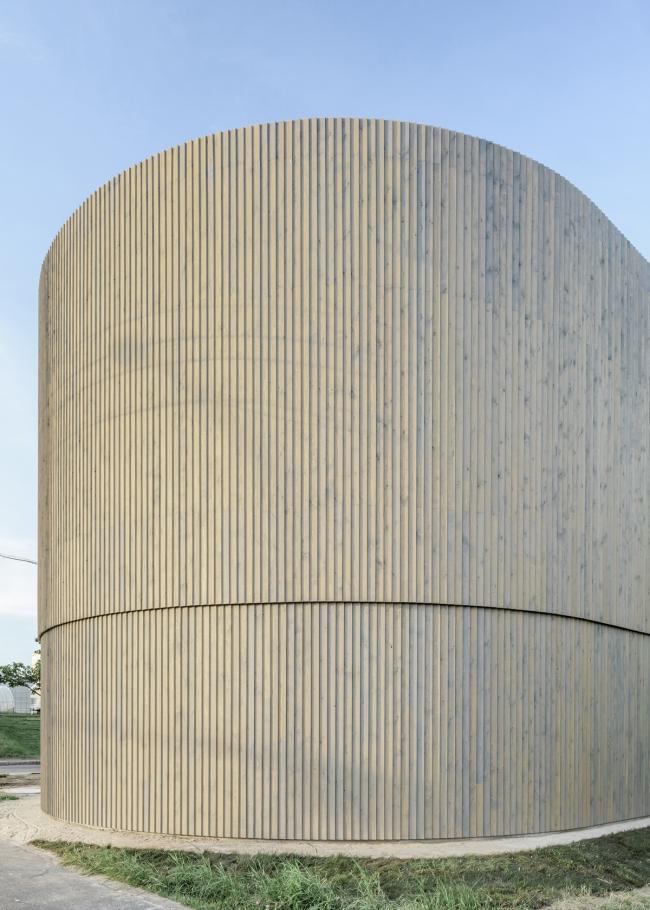 BIM建筑|仿佛海洋海浪的弧状室第