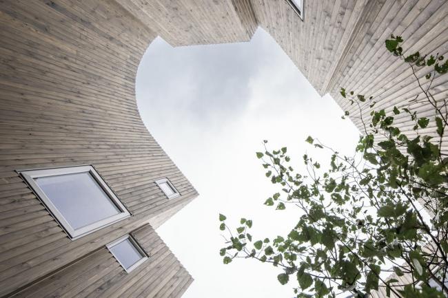 BIM建筑|仿佛海洋海浪的弧状室第